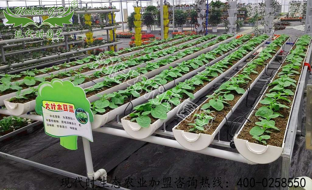 Substrate cultivation