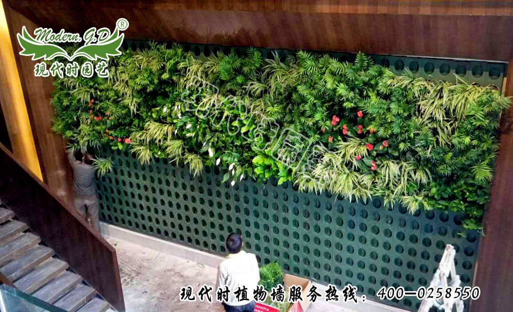 Modular plant wall