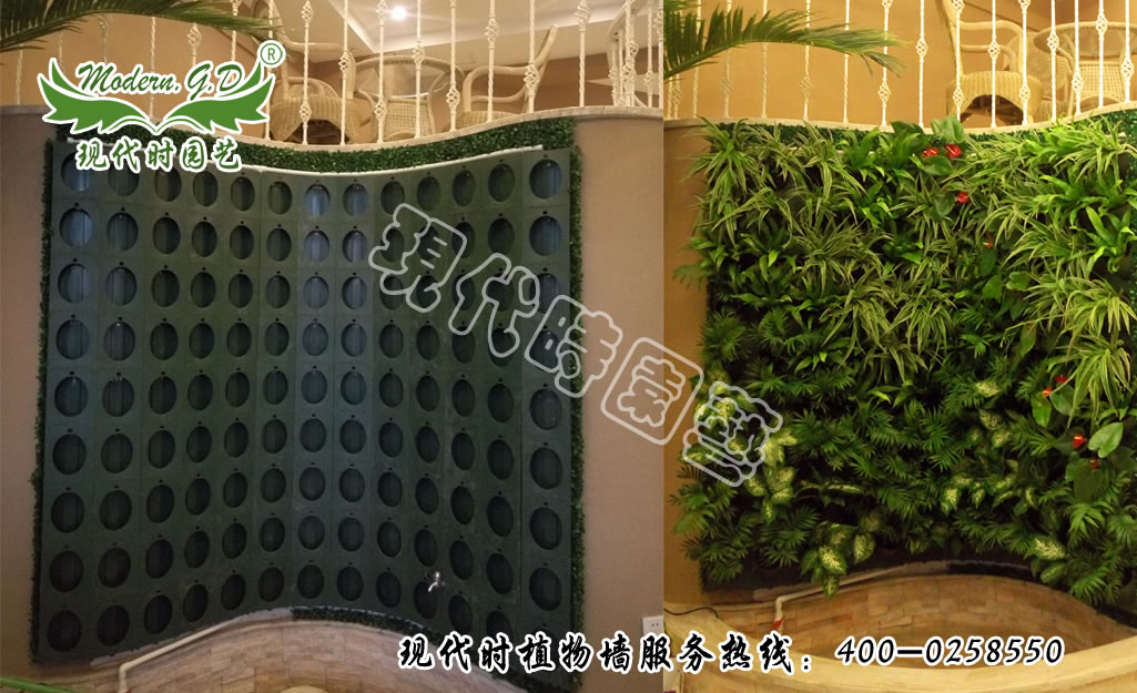 Plant wall modular